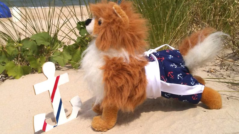 Dog shorts, Pet shorts, Dog summer clothes, Dog clothes, Pet clothes image 1