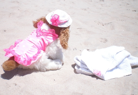 dog bathing suit