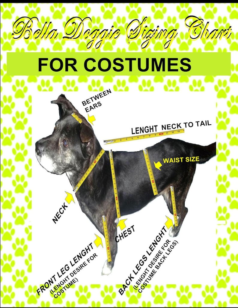 Puede incluir: Un gr&aacute;fico de tallas para disfraces de perros con un perro negro como modelo. El gr&aacute;fico muestra los puntos de medici&oacute;n: cuello, pecho, cintura y largo de las patas. Texto: "Bella Doggie Sizing Chart" y "For Costumes".