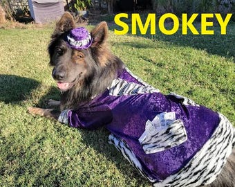 DOG COSTUME , pimp  Dog Costume, Halloween For Pets,dog clothes, pet clothes