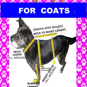 Puede incluir: Un perro negro con una cinta m&eacute;trica amarilla alrededor del cuello, el pecho y la cintura. La imagen muestra c&oacute;mo medir un perro para un abrigo, incluyendo la longitud del cuello, el tama&ntilde;o del pecho, la circunferencia de la cintura y la longitud de la manga.