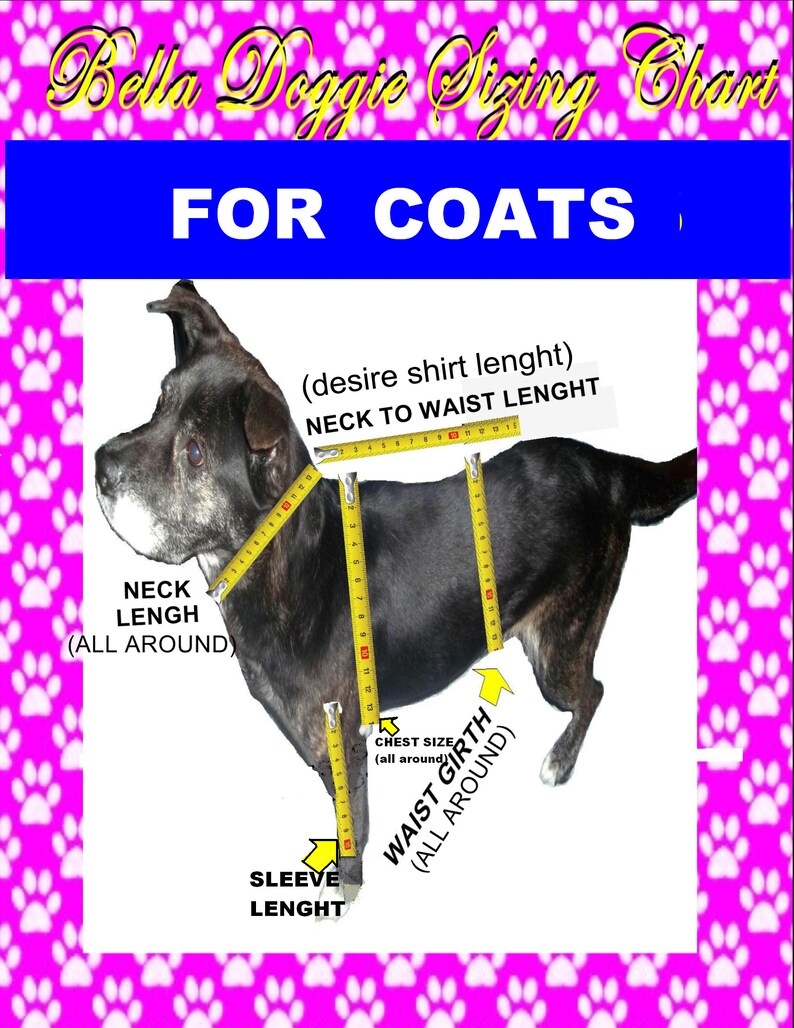 Puede incluir: Un perro negro con una cinta m&eacute;trica amarilla alrededor del cuello, el pecho y la cintura. La imagen muestra c&oacute;mo medir un perro para un abrigo, incluyendo la longitud del cuello, el tama&ntilde;o del pecho, la circunferencia de la cintura y la longitud de la manga.