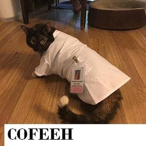 May include: A black and brown cat wearing a white lab coat with a name tag. The cat is lying on a wooden floor. The name tag reads "Public Service". The word "COFEEH" is at the bottom of the image.