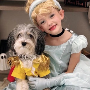 Dog costume, Dog prince charm costume,Pet costume, dog clothes, pet clothes, dog fashion, cinderella dog costume