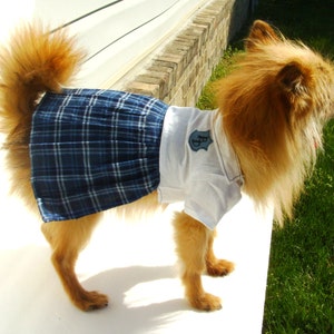 DOG DRESS, Dog School Blue Dress, Dog Blue Plaid Dress