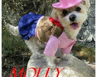 DOG HALLOWEEN COSTUME , "cow girl" Dog Costume, Halloween For Pets, Pet Costume