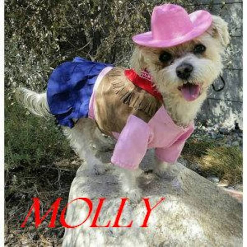 DOG HALLOWEEN COSTUME , cow girl Dog Costume, Halloween For Pets, Pet Costume image 1