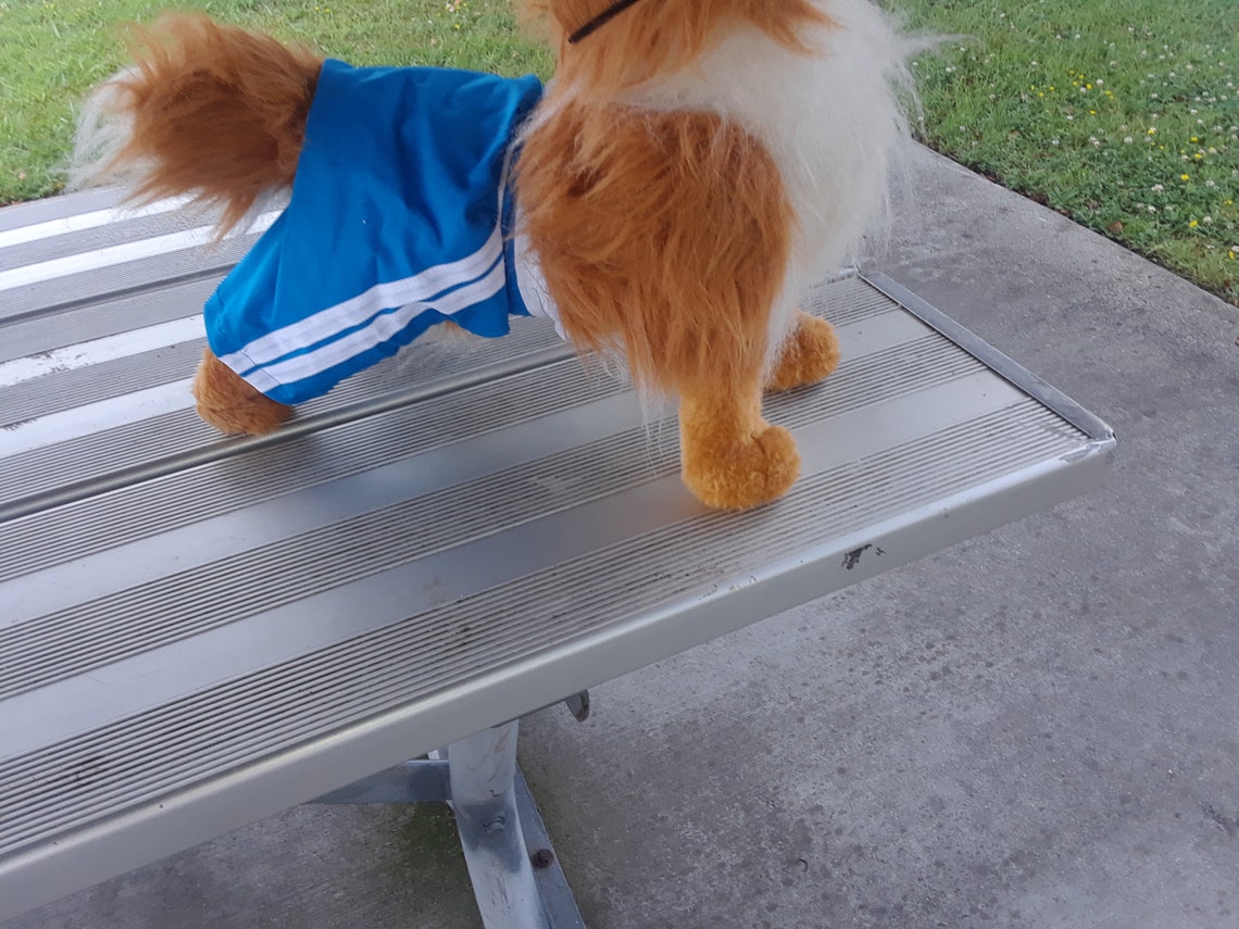 Dog Shorts Pet Shorts Dog Clothes Pet Clothes Dog Etsy