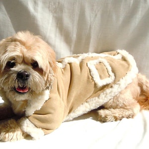 Puede incluir: Un perro peque&ntilde;o de color marr&oacute;n claro que lleva una chaqueta de gamuza marr&oacute;n con ribete de piel blanca. El perro est&aacute; tumbado sobre una superficie blanca.
