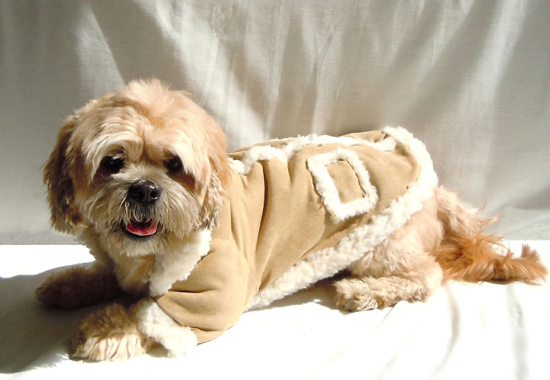 Puede incluir: Un perro peque&ntilde;o de color marr&oacute;n claro que lleva una chaqueta de gamuza marr&oacute;n con ribete de piel blanca. El perro est&aacute; tumbado sobre una superficie blanca.