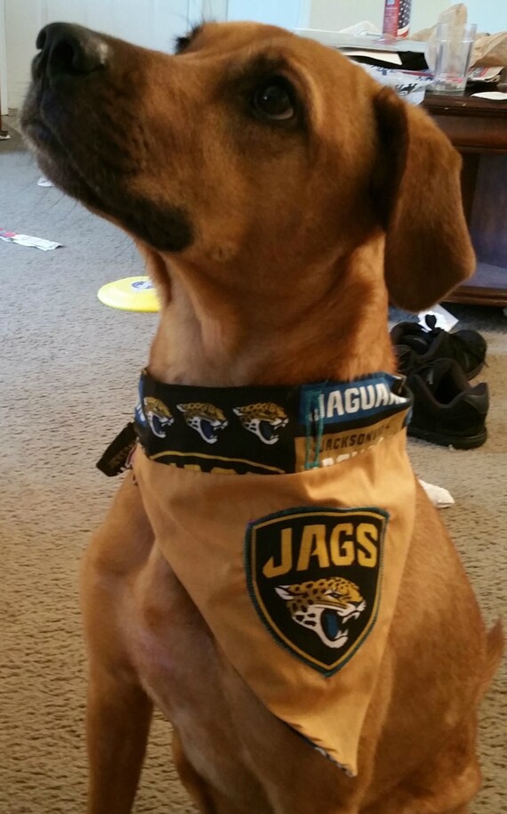Nfl pet bandanas discount