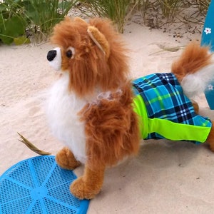 Dog swimming trunks, Pet swimming trunks, Dog shorts, Pet shorts, Dog clothes,