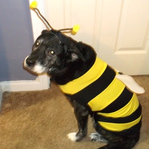 DOG COSTUME. bumble bee Dog Costume, Halloween For Pets, XXLG