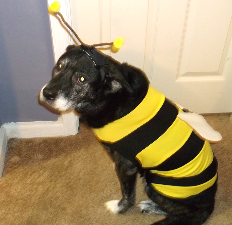 DOG COSTUME. bumble bee Dog Costume, Halloween For Pets, XXLG