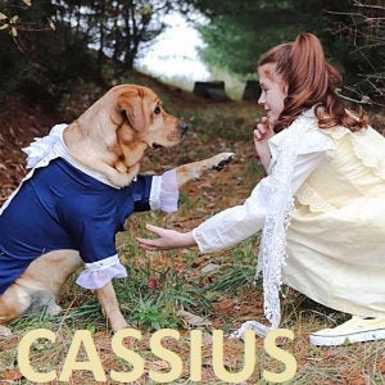 Puede incluir: Un Labrador Retriever con un disfraz azul con ribetes blancos, interactuando con una ni&ntilde;a con un vestido amarillo. El disfraz del perro tiene cuello y pu&ntilde;os blancos. La palabra "CASSIUS" est&aacute; en la parte inferior de la imagen.