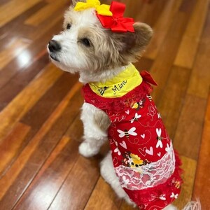 Dog dress, dog valentine dress, dog clothes, special occasion dog dress, red dog dress