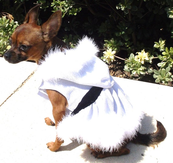 Dog Christmas Dress , Pet Dress, Dog Dress, Dog Christmas - Etsy Dog Christmas Dress , Pet Dress, Dog Dress, Dog Christmas - Etsy