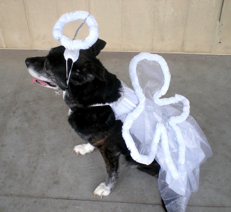  Dog  Costume  Angel  Dog  Costume  Halloween  For Etsy