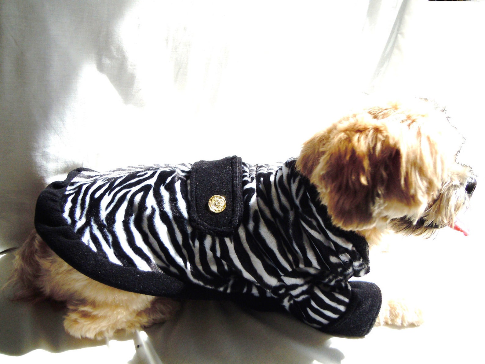 Dog Coat Pet Coat Dog Clothes Zany Dog Coat Zebra Fur Dog Etsy