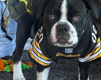 Dog tutu, Dog steelers tutu,Dog NFL Tutus, Pet Tutus, Dog Skirt, Pet Tulle Skirt