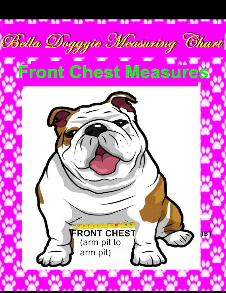 May include: A measuring chart for dogs, featuring a cartoon bulldog with white, brown, and black markings. The chart includes text that reads "Front Chest Measures" and "Front Chest (arm pit to arm pit)". The background is pink with paw prints.