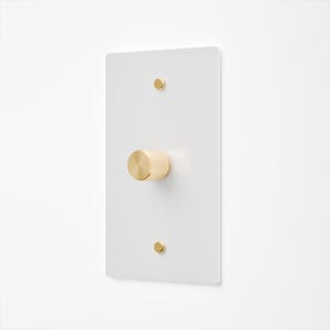 Puede incluir: Una placa de pared rectangular blanca para interruptor de luz que presenta un mando central circular dorado con borde texturizado y dos pequeños tornillos dorados situados en la parte superior e inferior de la placa, ofreciendo control de luz.