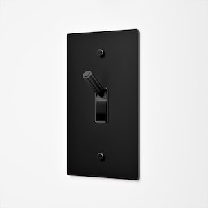 May include: A matte black rectangular light switch plate featuring a single toggle switch in the center. The plate is secured with two matching black flathead screws positioned at the top and bottom of the vertical switch assembly.