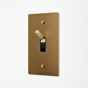 Può includere: Una placca interruttore rettangolare in ottone spazzolato con un interruttore a levetta nero. L'interruttore è in posizione 'on'. Due viti in ottone fissano la placca alla parete. La placca dell'interruttore ha una superficie strutturata.