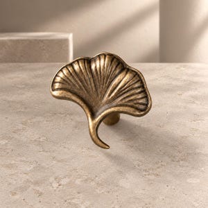May include: A brass-toned metal cabinet knob shaped like a ginkgo leaf. The knob features a textured, fan-like surface with radiating ridges and a curved stem base, finished with a dark, antiqued patina that highlights the metallic details.