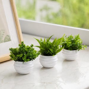 ferm living plant box accessories Two-Tier Plant Box