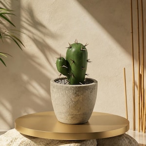 May include: A green cactus with dark thorns in a weathered concrete pot. The pot sits on a gold-colored circular platform, supported by light-colored stones. The background is a neutral beige with shadows.