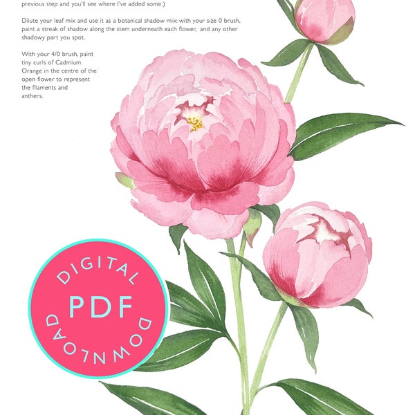 Watercolour workbook Download: How to paint a Peony | Flower Painting Guide | Watercolour tutorial | Watercolour | Floral | Peonies