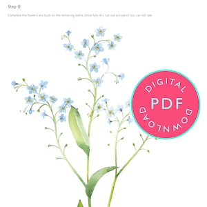 Watercolor Forget Me Not Painting Guide (PDF Download)