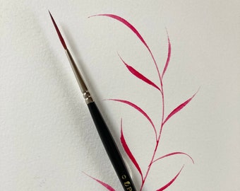 Rigger Brush | Fine line brush | Pro Arte Series 103 Prolene Rigger Size 0  - The exact watercolour paintbrush that Harriet uses on Youtube!