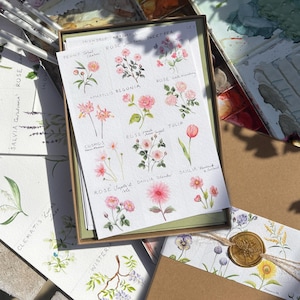 Watercolour Flower Notecard Set | 14 Luxury A6 Greeting Cards | Gardener's Sketchbook Stationery Gift | Blank Floral Cards