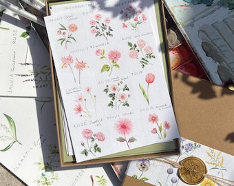 Set wenskaarten met aquarel bloemen | 14 luxe A6 wenskaarten | Cadeau voor tuinliefhebbers | Blanco bloemenkaarten