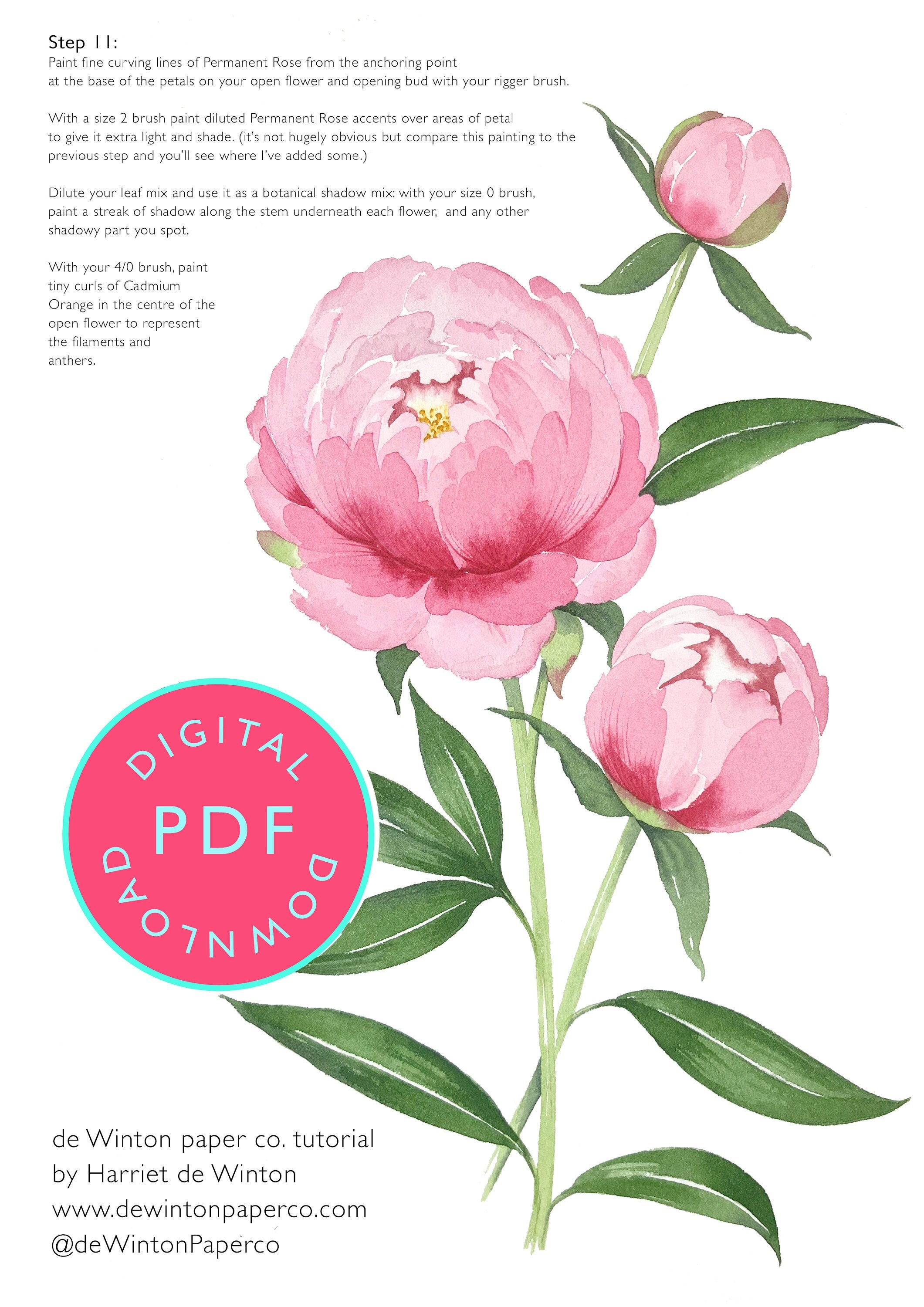 Peonies Paint by Numbers for Adults Beautiful Flowers Painting on Canvas  Paint by Your Own DIY Kit Flowers Wall Art Decoration RD0002 