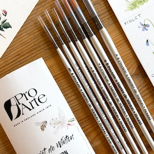 プロアルテ水彩絵筆セット：ハリエット・デ・ウィントンシリーズ 先細丸筆