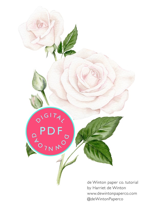 Watercolor Rose Painting Guide: Botanical Style (PDF Download)