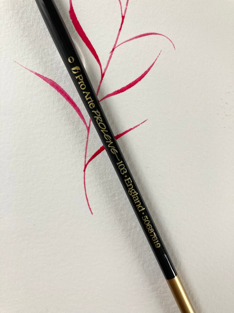 May include: A black and gold Pro Arte Prolene 103 brush with the text "Pro Arte Prolene - 103 England - 500687619" printed on the side.