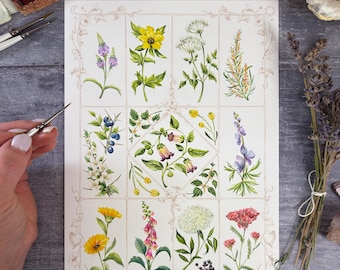 Halloween Watercolour Painting Challenge | Practical Magic Inspired Spell Book Grid | Watercolour Botanical Art Project
