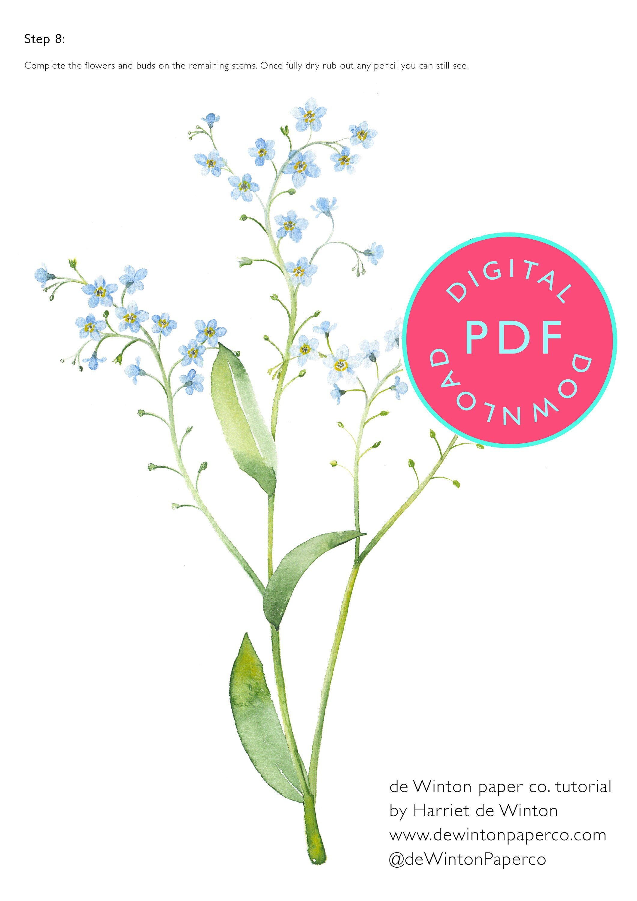 Descarga de Workbook de Acuarela: Cómo pintar nomeolvides | Guía PDF de flor botánica