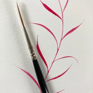 May include: A close-up of a black and silver paintbrush with a red watercolor painting of a branch with leaves on a white background.
