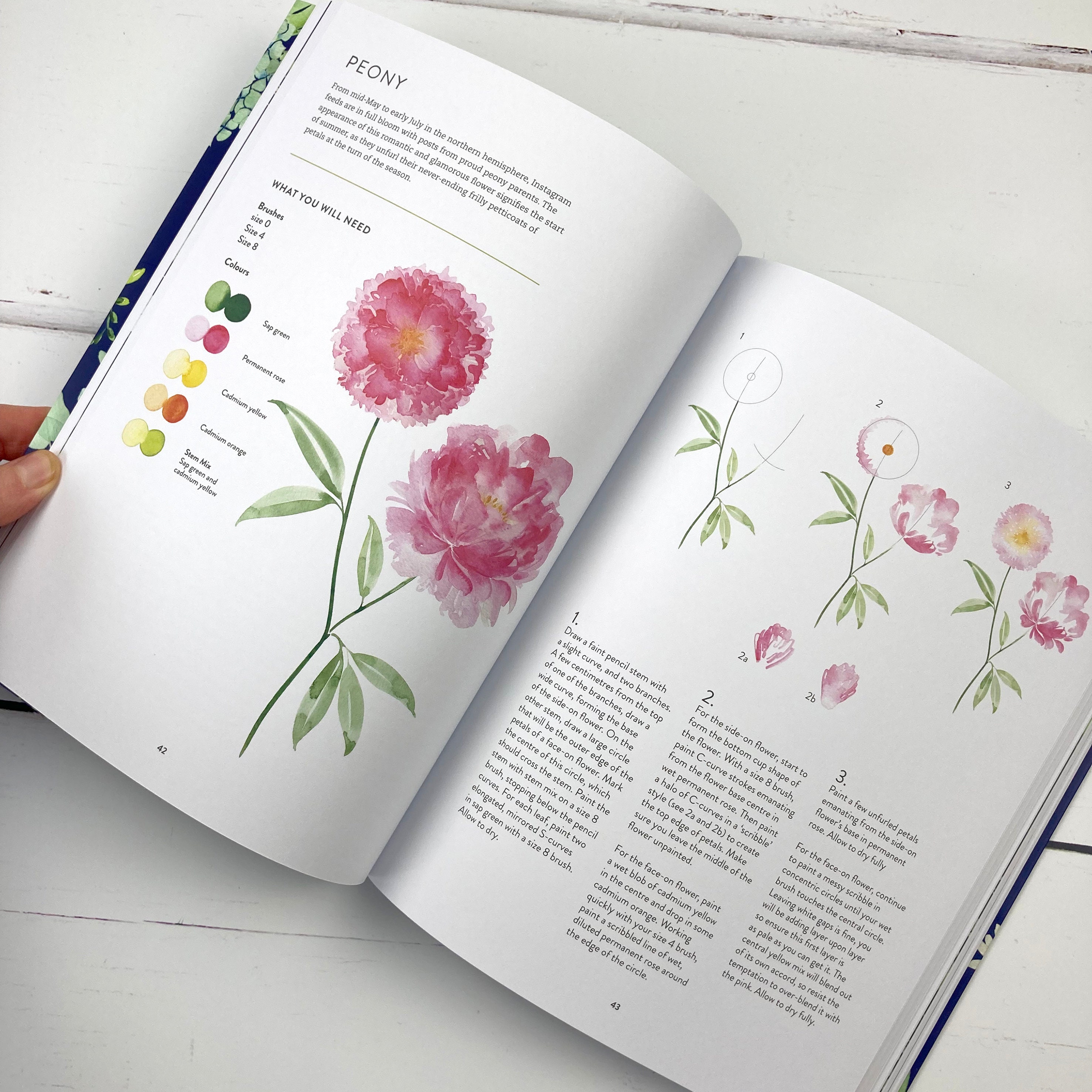 New Botanical Painting by Harriet De Winton Signed Copy - Etsy UK