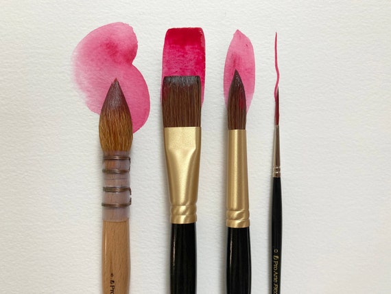 Set of 4 Specialist Pro Arte Watercolour Brushes: Mop, Flat, Rigger and  Round the Exact Brushes That Harriet Uses on  