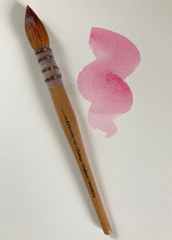 Pro Arte Series 45 Sablesque Blend Mop Brush Size 6 the Exact Watercolour  Paintbrush That Harriet Uses on  