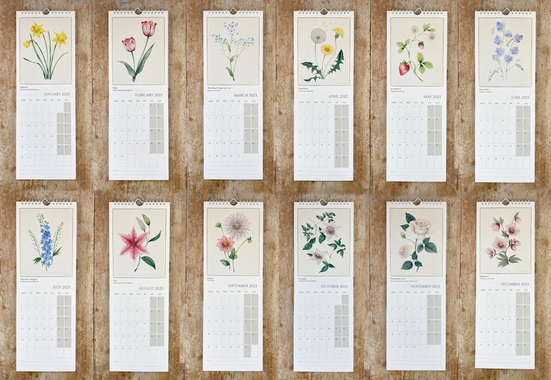 2023 Botanical Slim Wall Calendar Watercolour Flower Etsy Uk