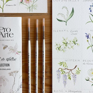 Pro Arte miniatuurpenselenset: aquareldetailpenselen (maten 0, 2/0, 4/0) Harriet de Winton-serie