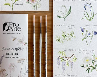 Pro Arte Miniature Brush Set: Watercolor Detail Brushes (Sizes 0, 2/0, 4/0) Harriet de Winton series