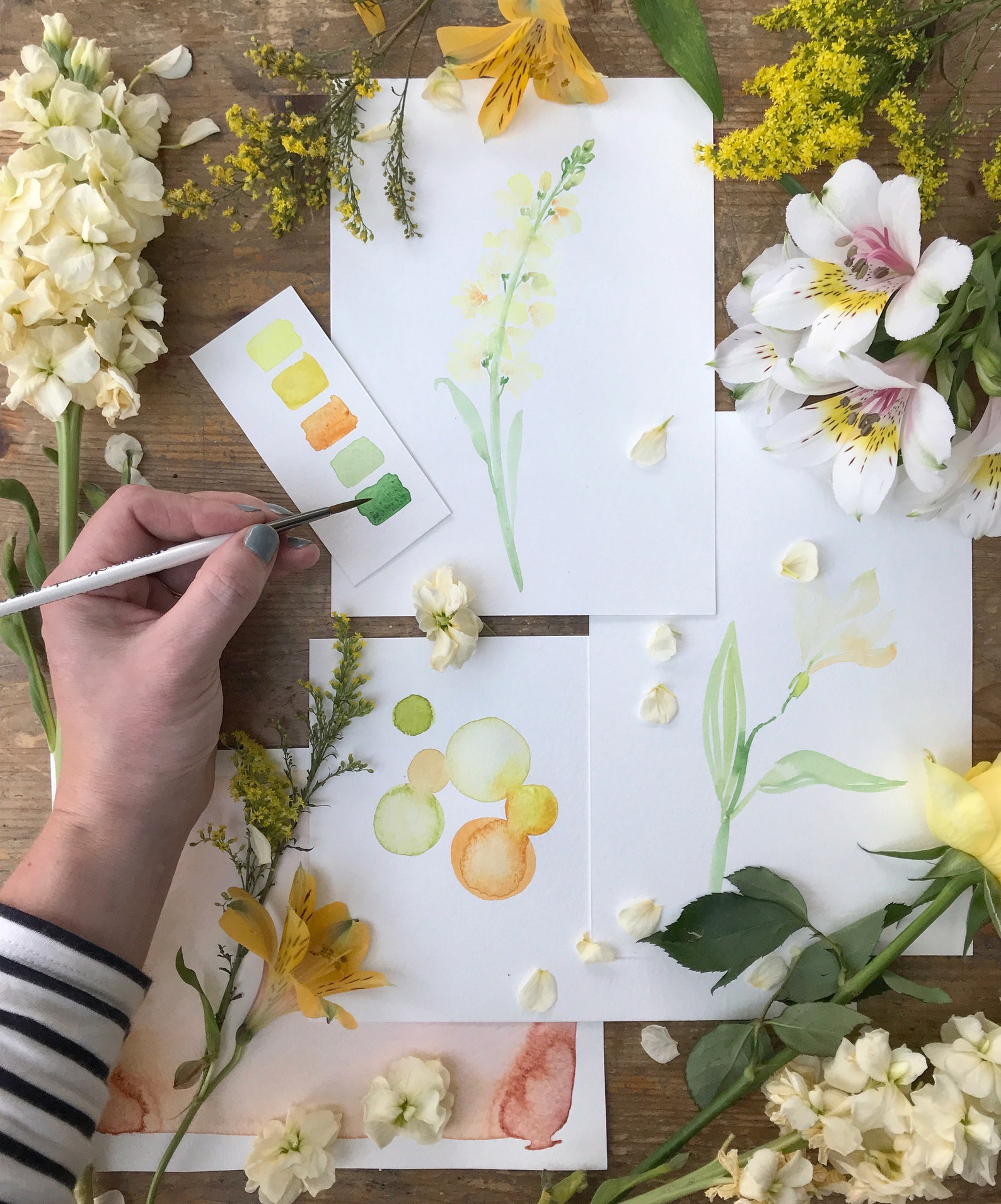 New Botanical Painting by Harriet de Winton Signed Copy | Etsy